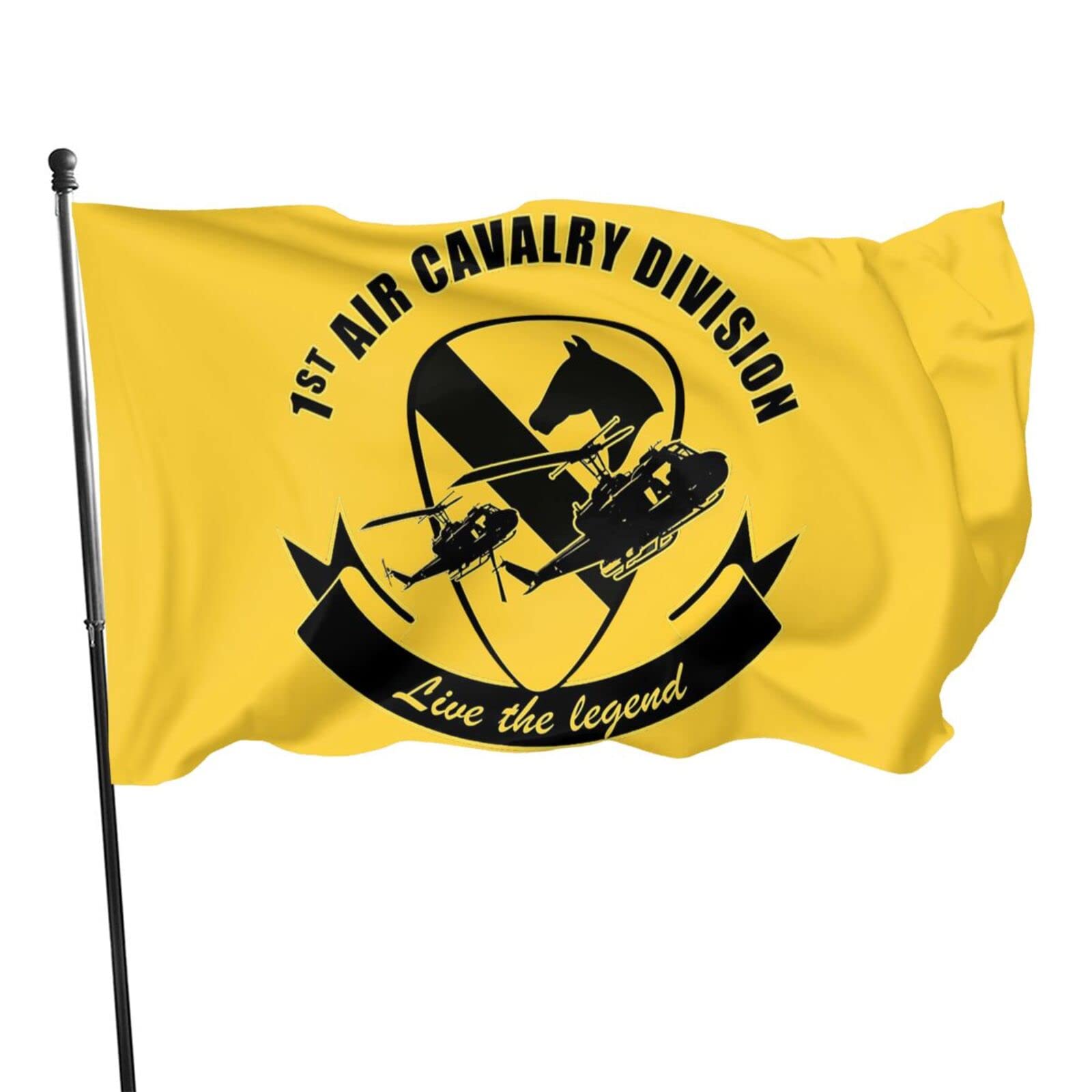 1st Air Cavalry Division