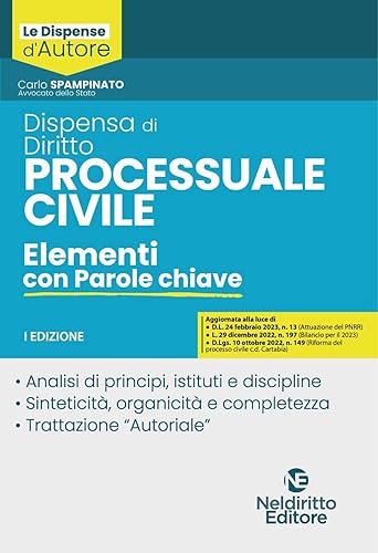 Dispensa di diritto processuale civile. Elementi con parole chiave