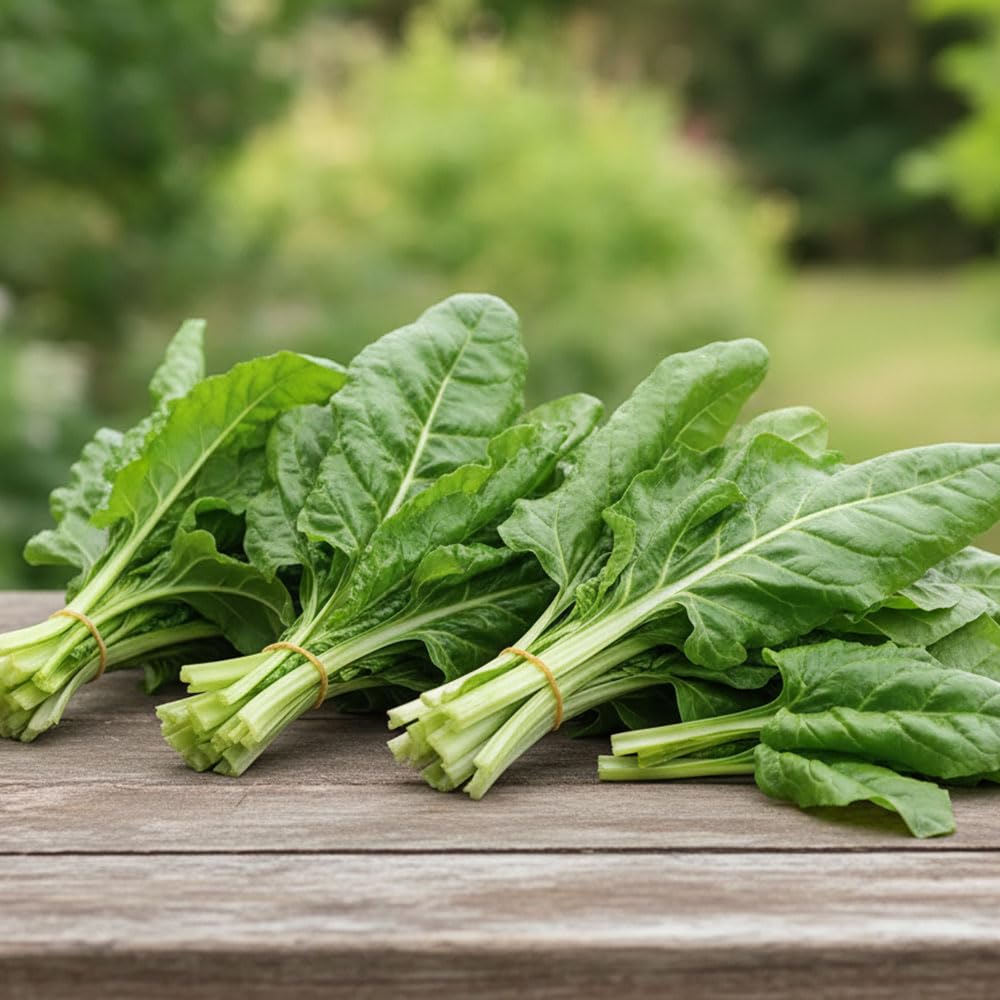 Swiss Chard Seeds ‘Verde da Taglio’ | Cut & Come Again Leaf Chard | Tender Green Leaves | Easy to Grow Italian Variety | Vegetable Seeds for Garden & Containers