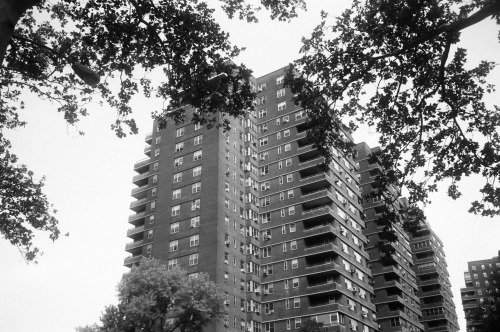 Negativo Fomapan de Foma en Blanco y Negro, ISO 100, 35 mm, 36 exposiciones - imagen 4