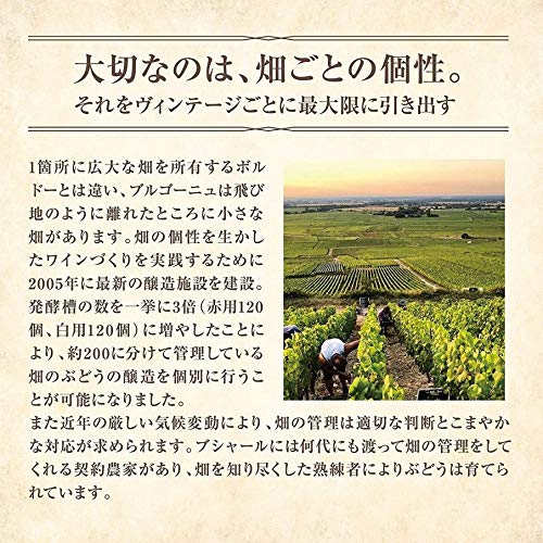 サントリー ブルゴーニュ銘醸ワイナリー 紅白木箱風ワインギフトセット