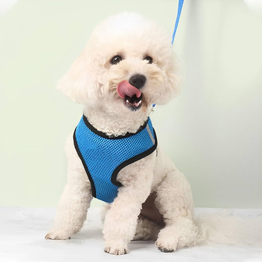 An Ultra Durable and Comfortably Soft Breathable Chest Strap Vest Harness for All-Day Walking and Outdoor Activities for Small to Medium-Breed Dogs and Cats