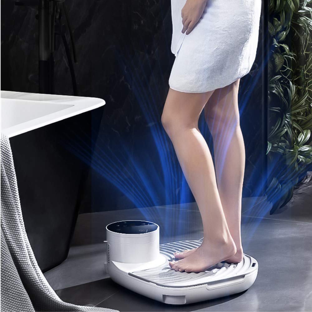 Body Hair Dryer with Gravity Sensor Natural Warm Air Wind and Cool Wind Blow Dryer Pet Dry Good