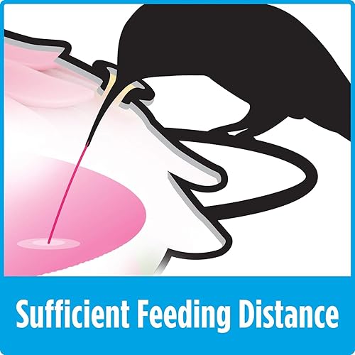 Miniatura 7 de Natures Way Bird Products MHF4 - Comedero de colibríes soplado a mano capacidad de 16 onzas rojo