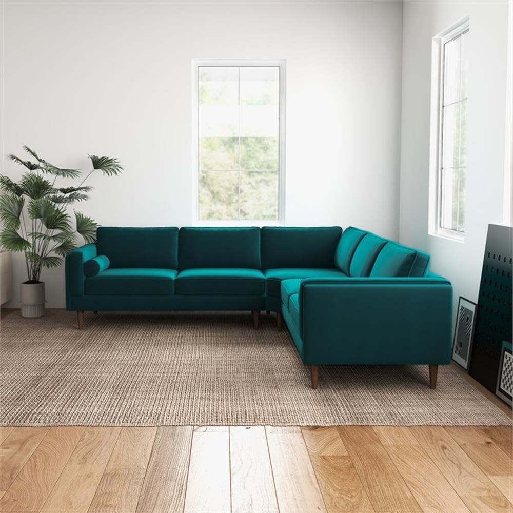https://m.media-amazon.com/images/I/61alqa1MW8L.jpg