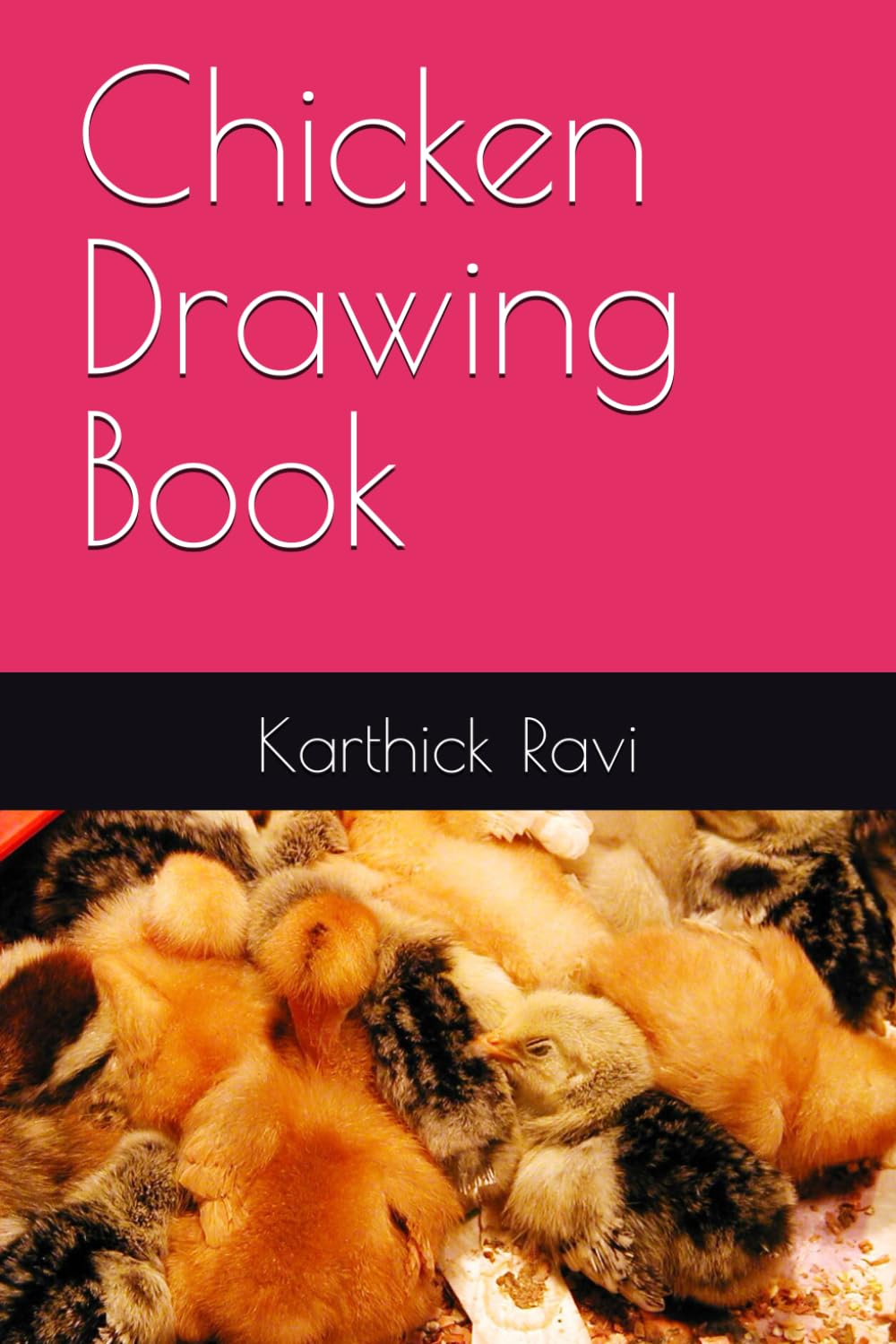Chicken Drawing Book