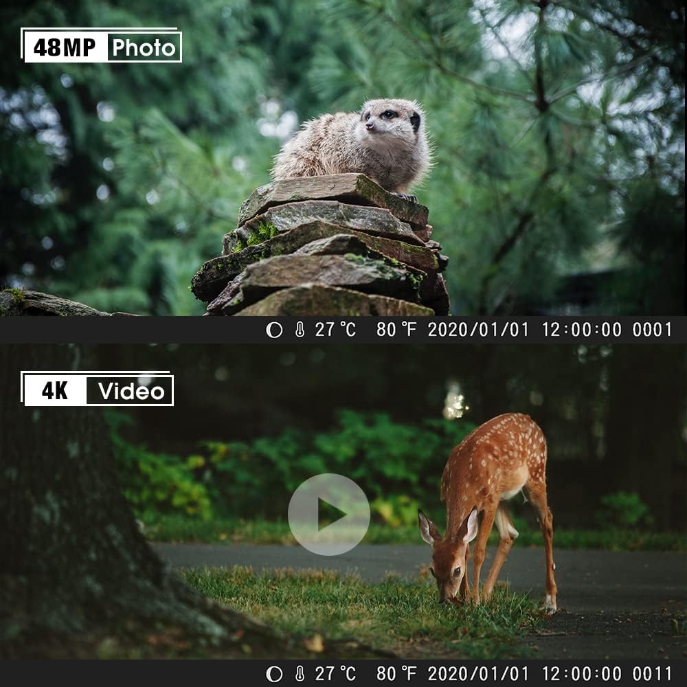 COOLIFE Fototrappola 4K 48MP Fotocamera Caccia Visione Notturna Fino a 35m Videocamera da Caccia con 46pcs IR LEDs,Velocità di Trigger 0,1 s, Impermeabile IP66, Supporto Fino a 512GB