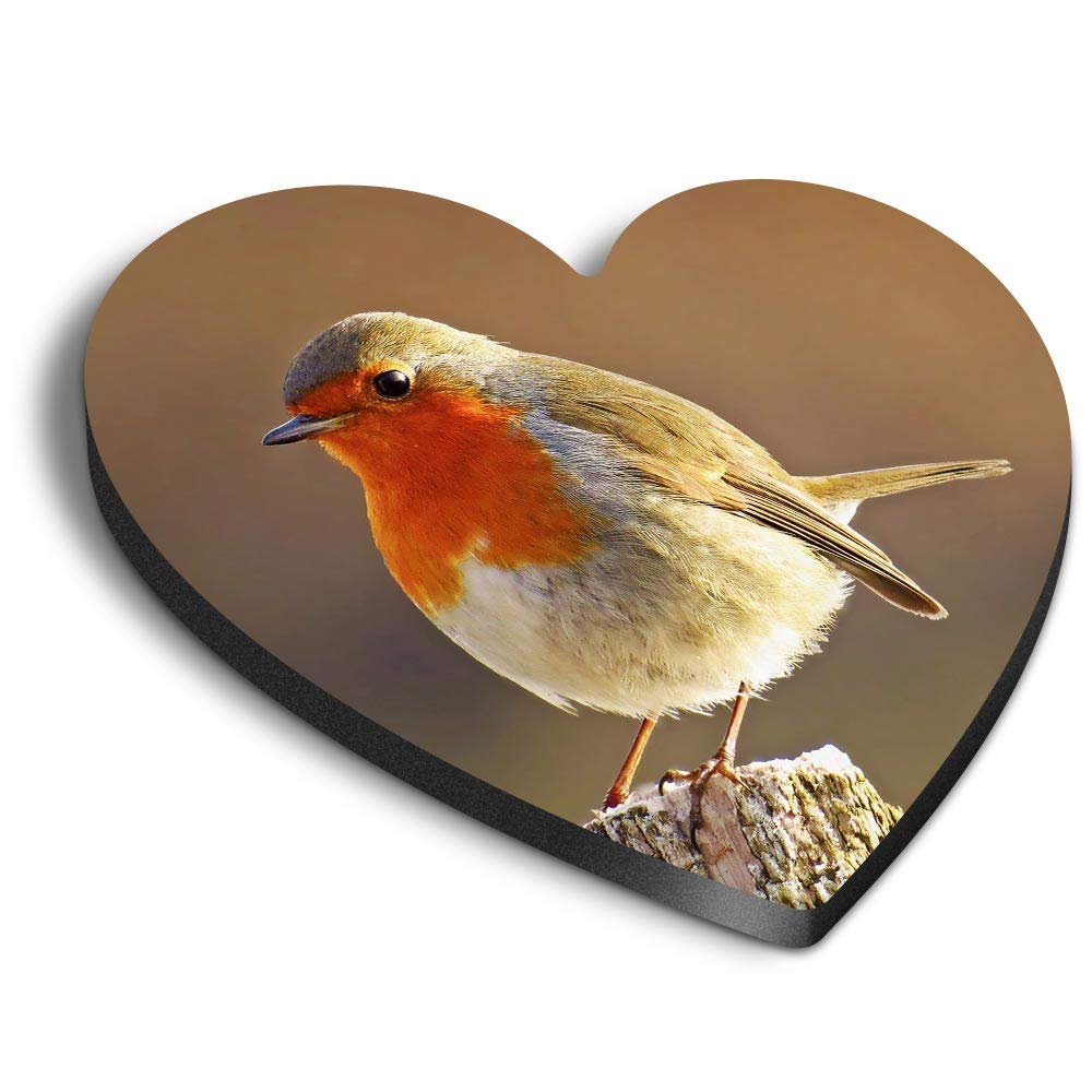 Destination Vinyl Ltd Multicolor 1 X Heart Mdf Magnets - Robin Redbreast Bird Animals Birds 8701