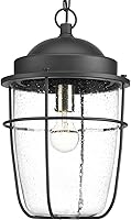 Vista 1 de 52218-BCSI Amherst Ave - Linterna colgante (11 pulgadas), color negro