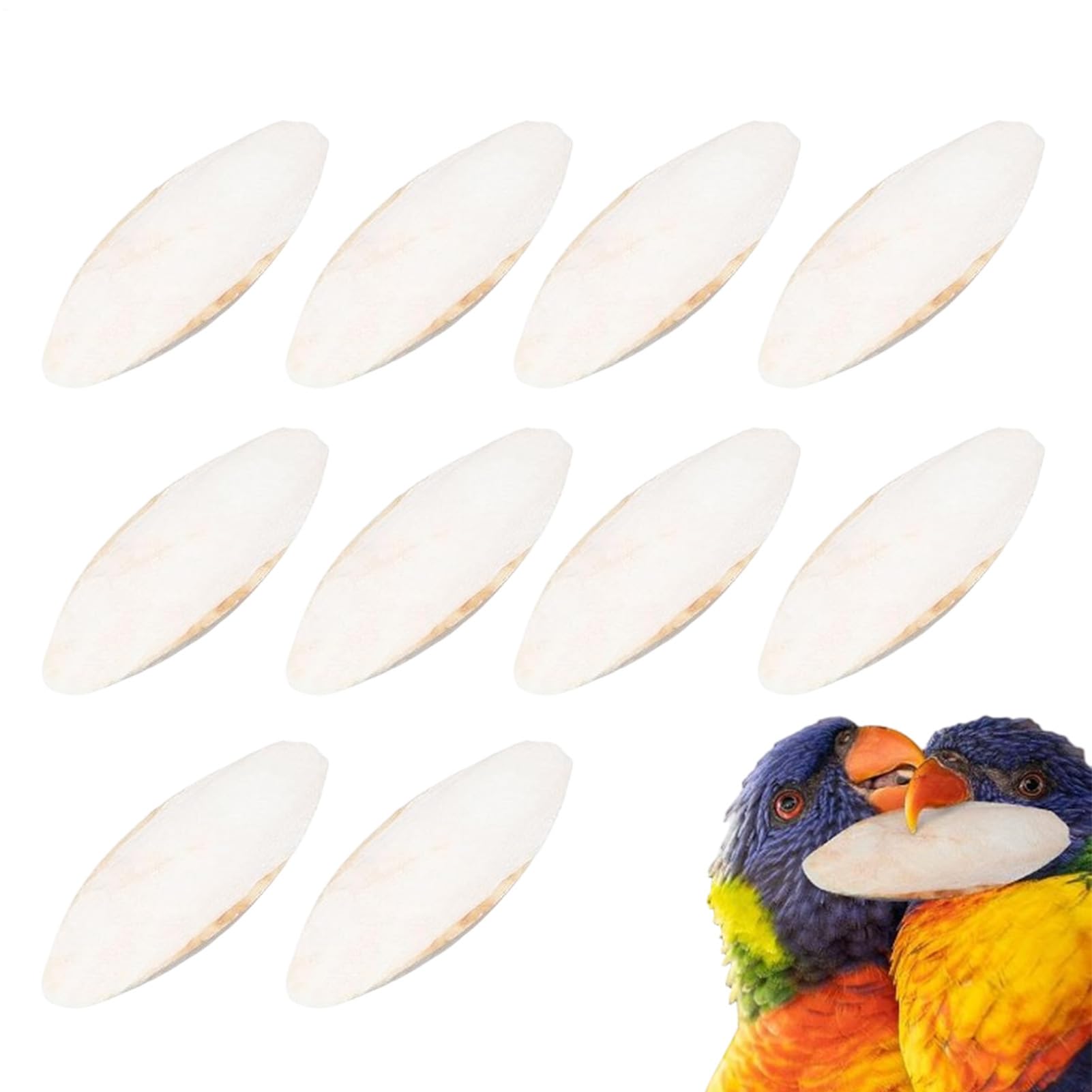 10 Pack Cuttlefish For Birds, Cuttlefish Bone,cuttlebone For Snails, Parrot Chew And Play Toys, Cuttle Fish, Cuttlebone, For Parrots Birds Reptiles Snails Tortoises