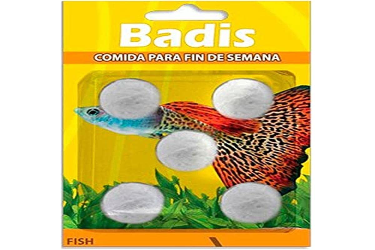 Moly Badis Food Weekend Blocks Calcium