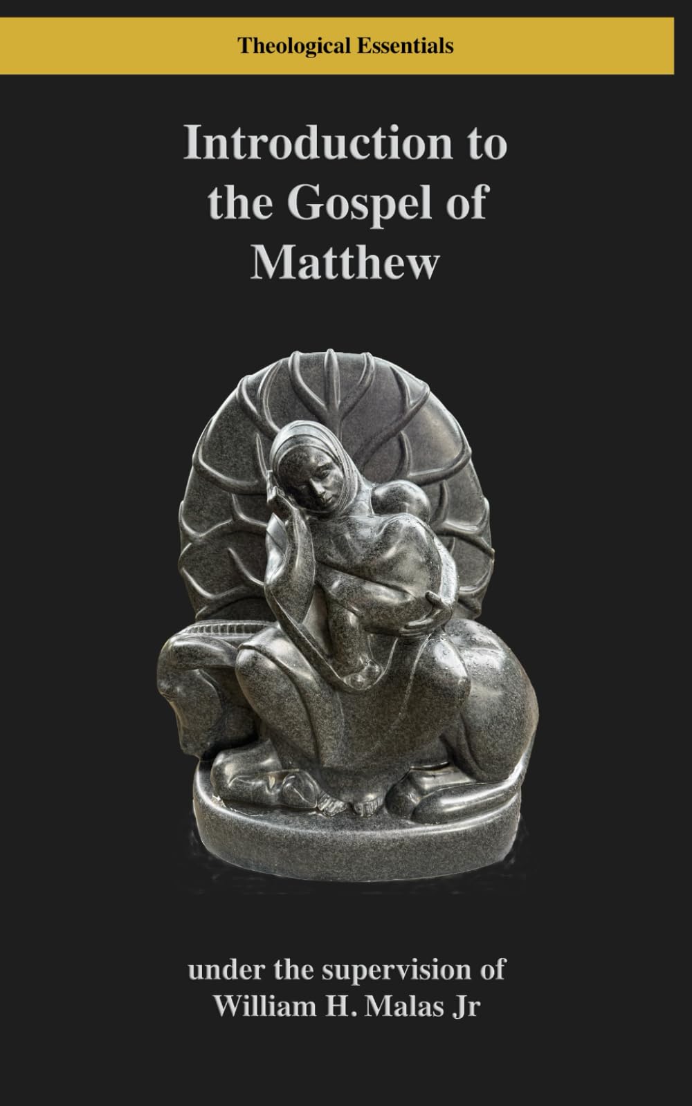 Introduction to the Gospel of Matthew (Theological Essentials)