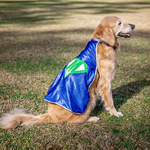Capa Superhéroe Personalizada para Perro Pequeño miniatura 5