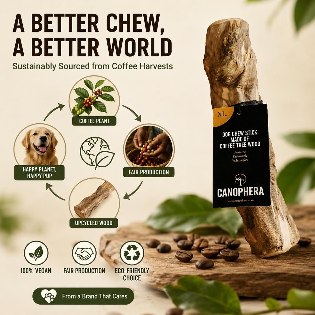Canophera 2er-Pack Vogelsitzstangen aus natürlichem Kaffeebaumholz – langlebige Holzzweige für Papageien, Sittiche, Nymphensittiche, Unzertrennliche, Sittiche, Sittiche, Sittiche, Sittiche, Sittiche