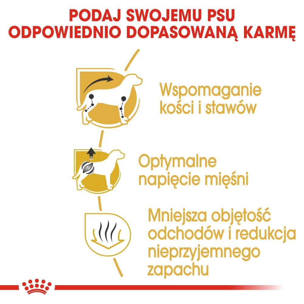 Royal Canin Dachshund Adult 28-7500 GR
