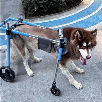 Pet Wheelchair for Dogs - Adjustable Dog Cart for Back Legs, Lightweight Aluminum Frame, Shock Absorbing Wheels for Disabled and Aging Dogs, Front & Back Leg Mobility Aid(XS)