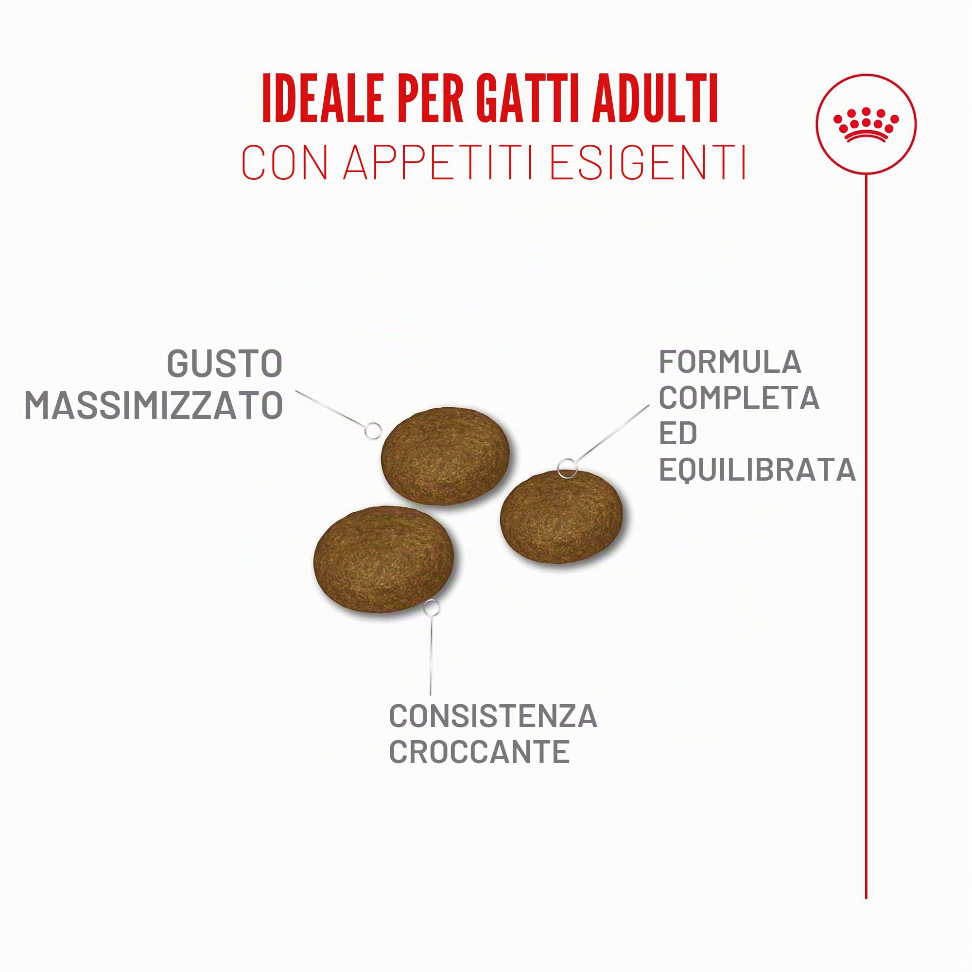 Royal Canin Fussy Exigent | 4 kg | Alimento completo per gatti adulti esigenti | Combinazione di aromi e forma speciale delle crocchette | Ricco di proteine