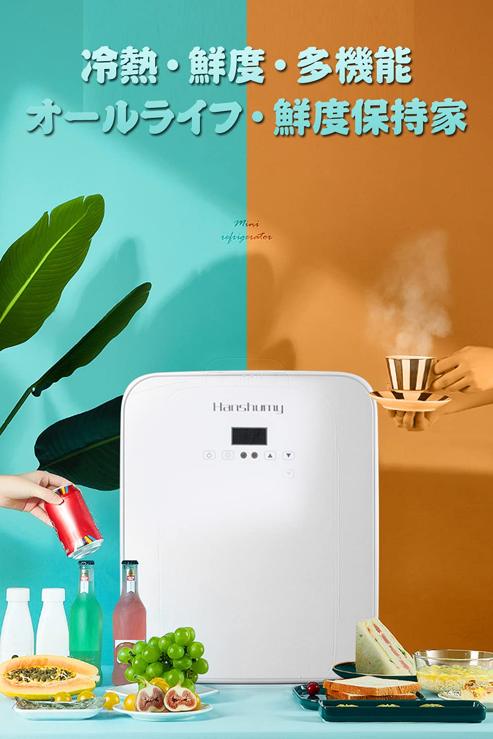 Amazon | HANSHUMY 冷蔵庫 冷温庫 10L 3℃～65℃ ポータブル ミニ 小型