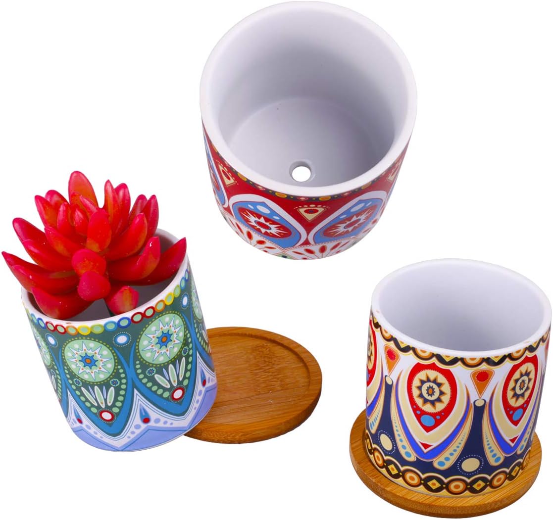 4 Pcs Colorful Mini Ceramic Cylinder Succulent Plant Pots with Bamboo Trays, Thumb Flower Pots for Small Plants and Decorative Objects - Colorful Mandala Styles