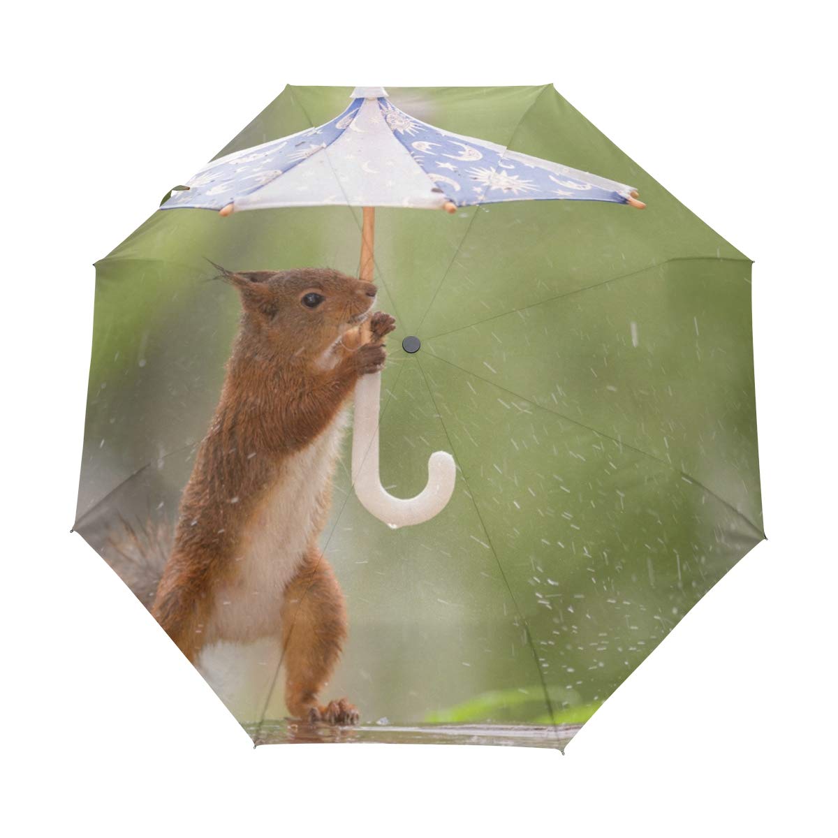 Skyda Red Squirrel Compact Travel Umbrella Squirrel Holding An Umbrella Auto Open Close Umbrella Windproof Anti-Uv
