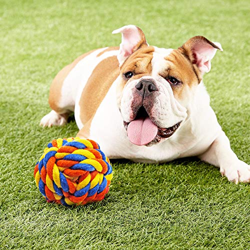 Dog Chew Toys for Puppies Teething, 14 Pack Dog Rope Toys Tug of War Dog Toy Bundle Toothbrush iq Treat Ball Squeaky Rubber Bone Durable Dog Chew Toys for Small Dogs Pet Toys Puppy Toys - Thumbnail 7