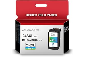 CL-246 Color Ink Cartridge: Your Canon Printer's Vibrant Ink Solution