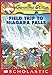 Geronimo Stilton #24: Field Trip to Niagara Falls