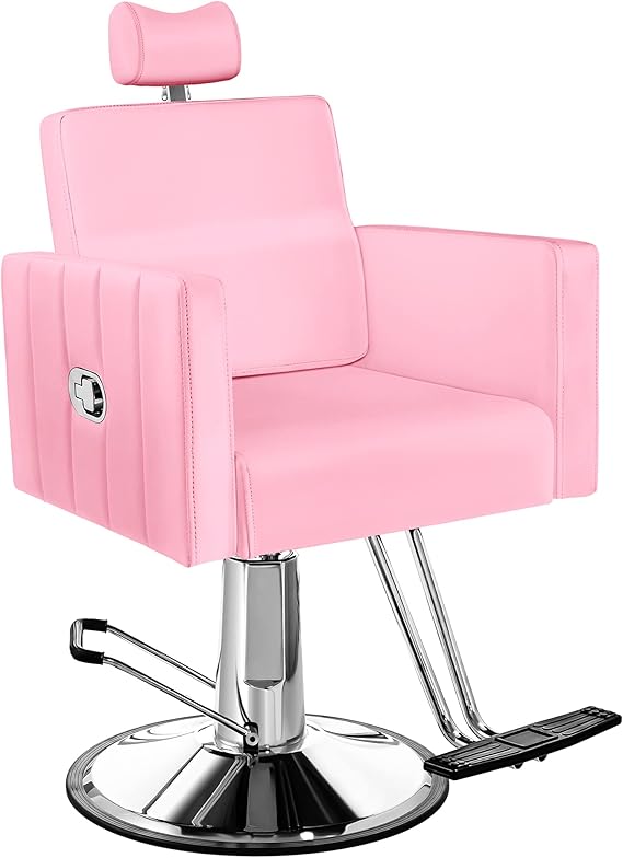 Baasha Reclining Salon Chair for Hair Stylist, All Purpose Styling Chair with Heavy