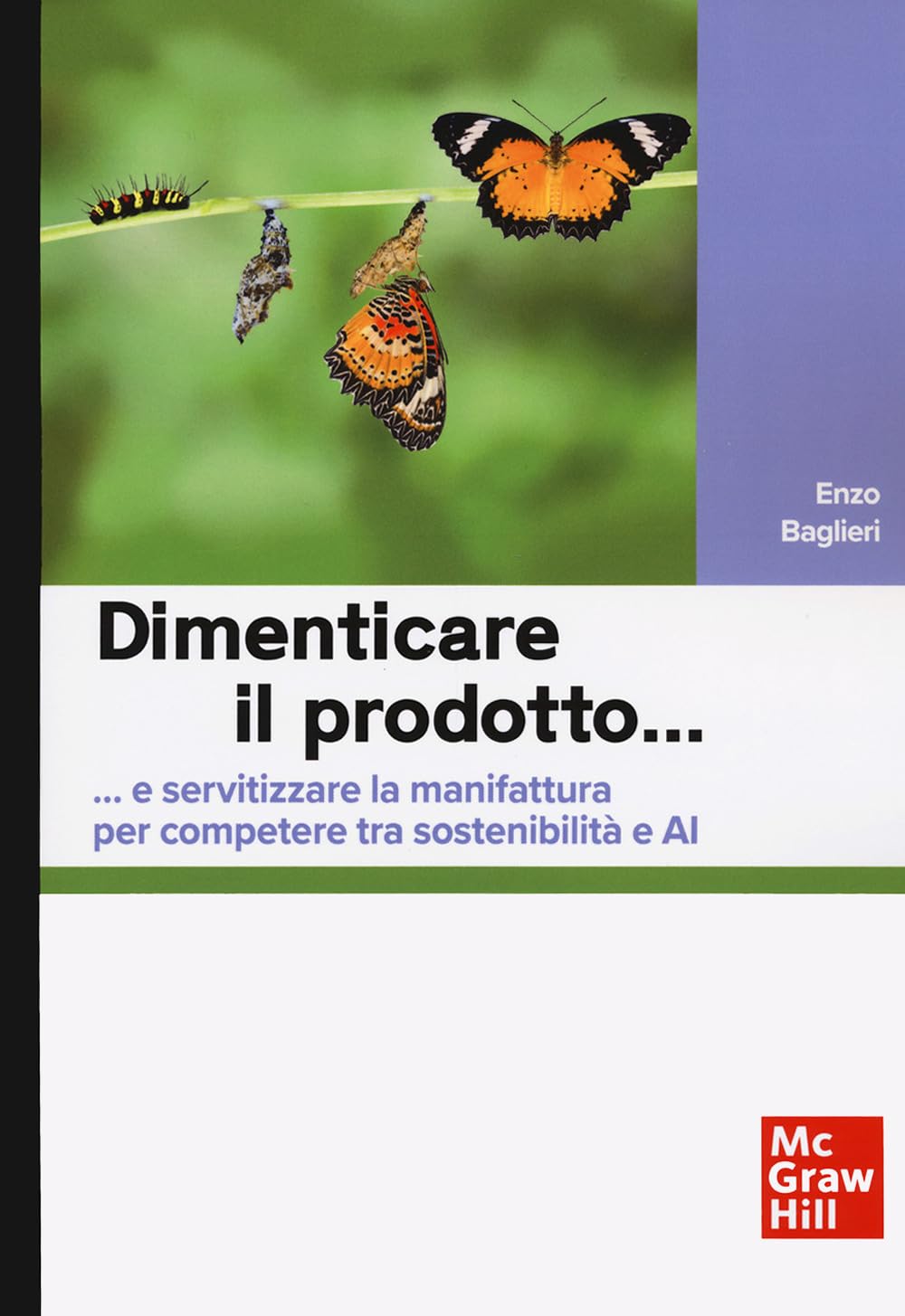 Dimenticare il prodotto…e servitizzare la manifattura per competere tra sostenibilità e AI - 4