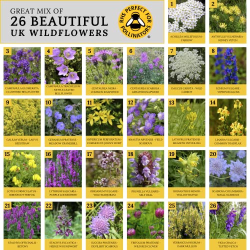 Handmade Wildflower Seed Bombs for Bees & Butterflies - 26 UK Species - Image 2