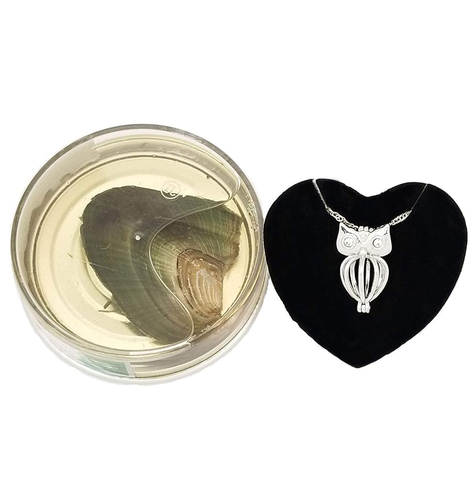 Amazon.com: Owl Love Wish Pearl Kit Chain Necklace Kit