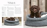 Strickbuch Hund – Strick-Lieblinge für deinen Hund: Kleidung, Accessoires und Spielzeug für fröhliche Fellnasen. Hundepullover im Scandi-Stil stricken.