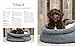Strickbuch Hund – Strick-Lieblinge für deinen Hund: Kleidung, Accessoires und Spielzeug für fröhliche Fellnasen. Hundepullover im Scandi-Stil stricken.