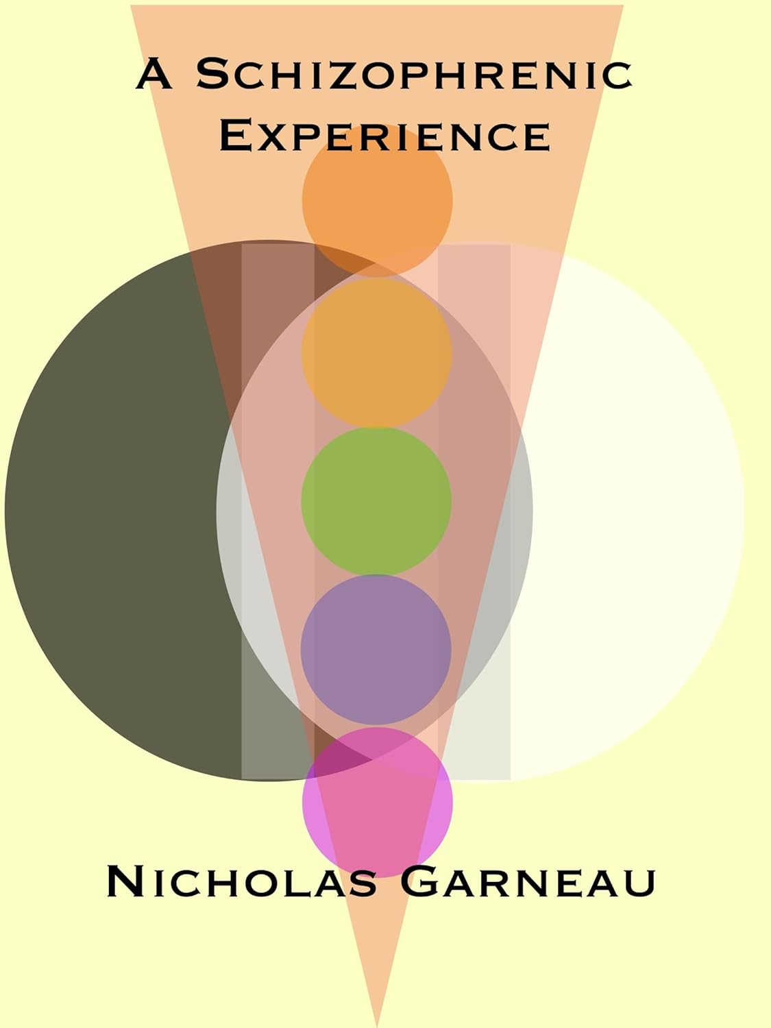 A Schizophrenic Experience      Kindle Edition