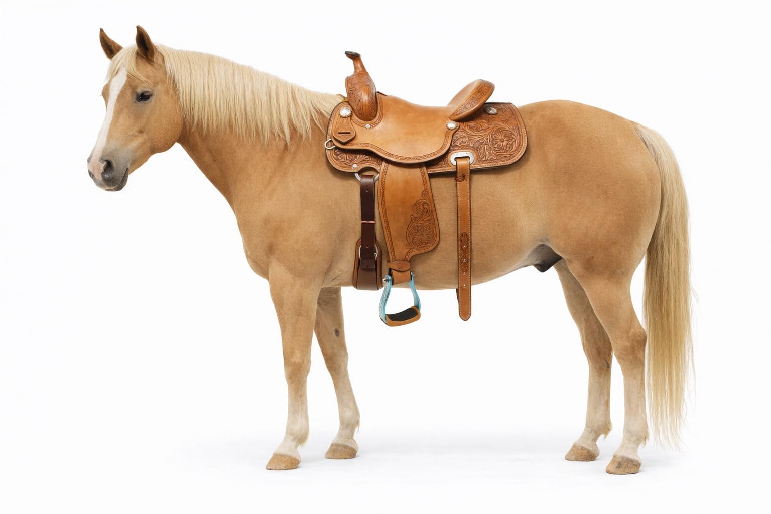 CHALLENGER Cavallo Western Turchese Inciso Strass Barrel Racing Alluminio Staffe 51179TR