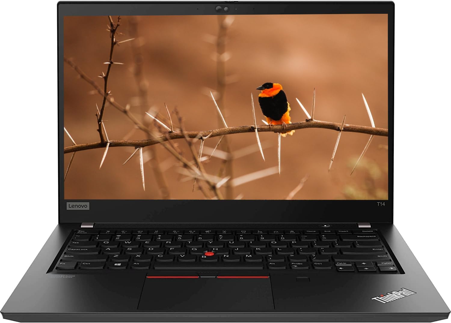 Lenovo Thinkpad T14 Gen 1 Touchscreen Business Laptop, 14" FHD (1920x1080), Intel Core i5-10310U, 16 GB RAM, SSD da 256 GB, Tastiera US QWERTY, Windows 11 Pro (Ricondizionato)
