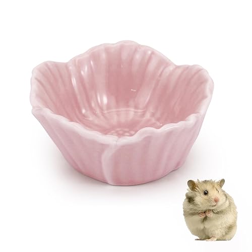 Small Ceramic Pet Hamster Bowl, Easy to Clean Anti Flipping