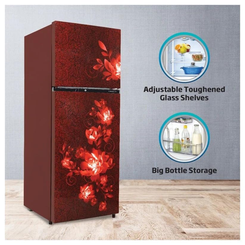 Image of Voltas Beko RFF295D /W0CWR0I0000GD 250L 2 Star Frost Free Double Door Refrigerator Celin Wine