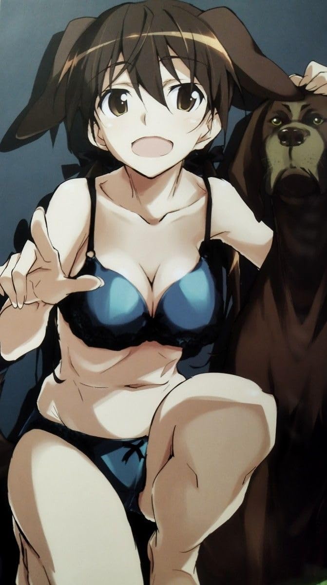 Amazon.co.jp: おこたんぺこ きなこの山 いろいろな何か SWの何か 倉嶋