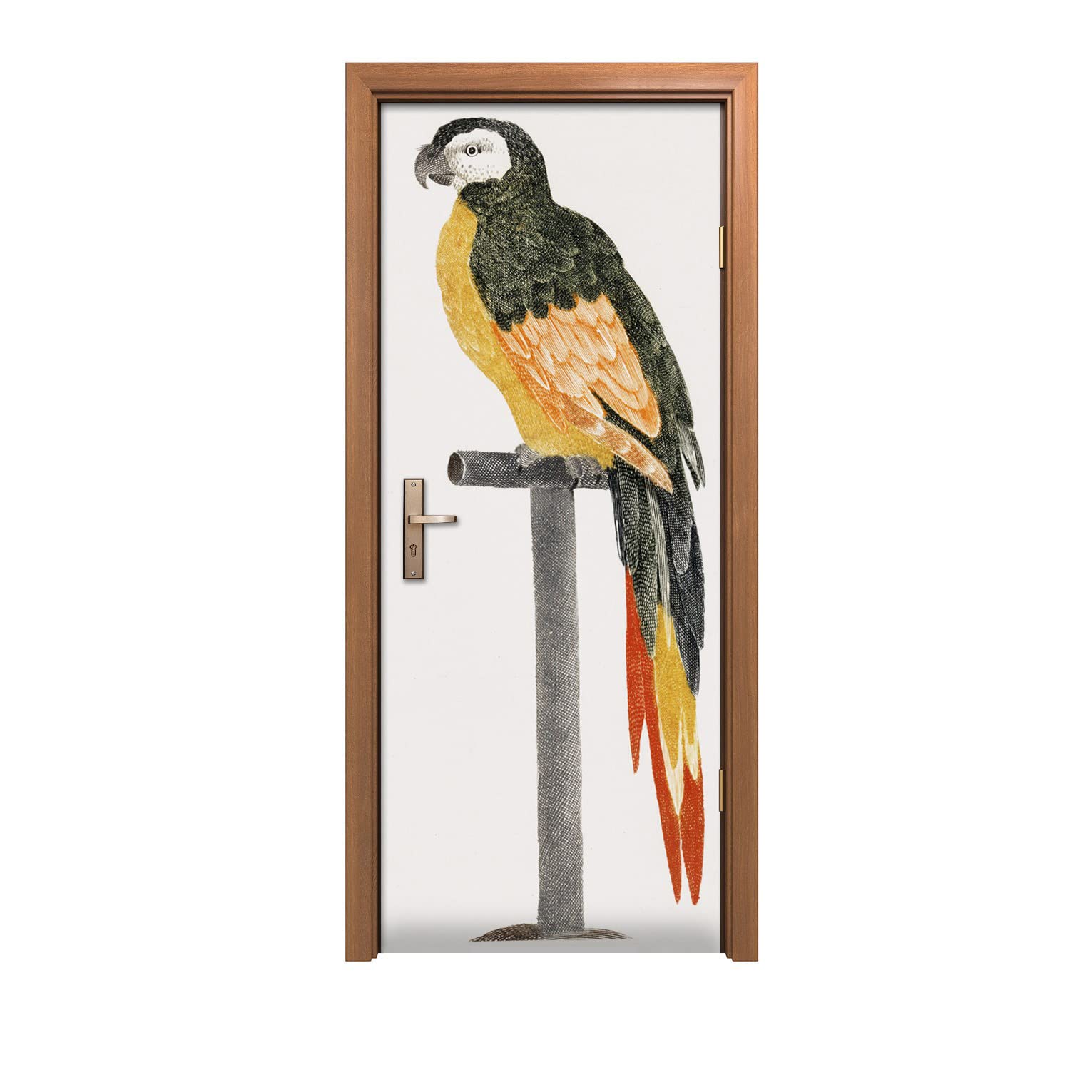 Autocollant de porte perroquet 80x200cm pour murale design d'intérieur