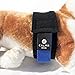 Calmr Dog SettleStrap – Fast, Safe & Effective Anxiety Relief for Dogs | USA-Made Canine Calming Pressure Strap for Stress & Hyperactivity
