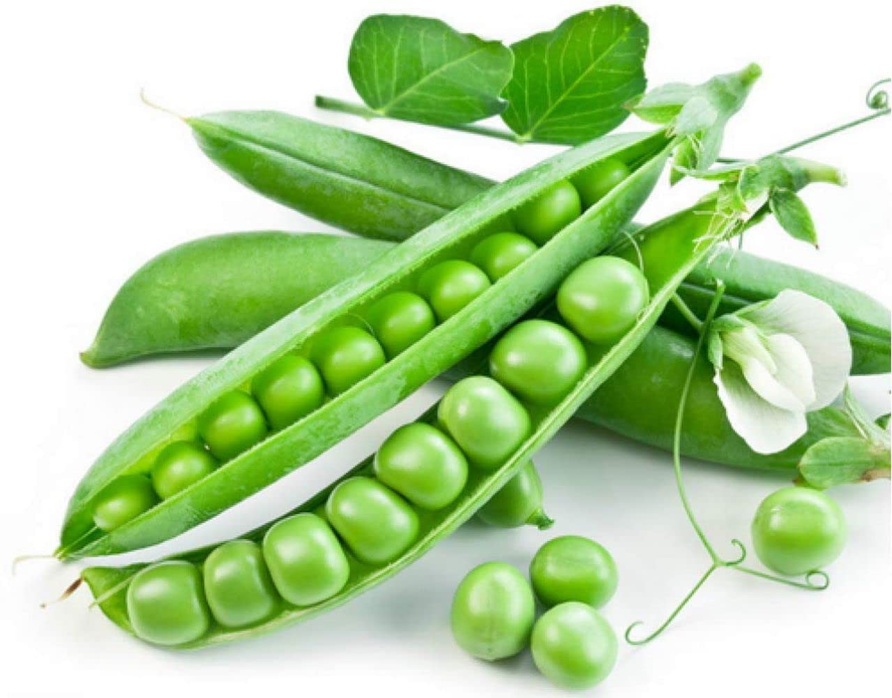 Flare Seeds Peas Seeds Matar Seed Pack of 40 Seeds (B09C44PJZT) Amazon Price History, Amazon Price Tracker