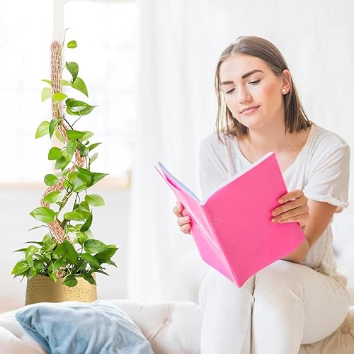 Miniatura 5 de Poste de musgo, postes de coco natural, 1 paquete de postes de musgo flexibles de 63 pulgadas, forma de bricolaje, soporte de plantas para plantas