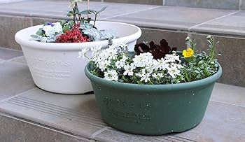 Amazon.com: Yahata Kasei Eco Planter/Flower Pot, Shallow