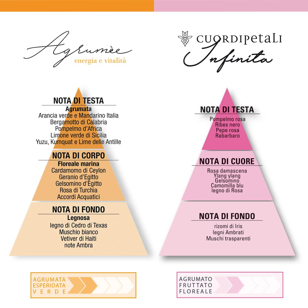 Helan - Collezione Olfattiva nr.1 con 6 Profumi in Fiale da 10 ml, Kit Profumo Uomo e Donna in Fragranze da Scoprire, Set Percorso Olfattivo per Idee Regalo Donna e Uomo Made in Italy