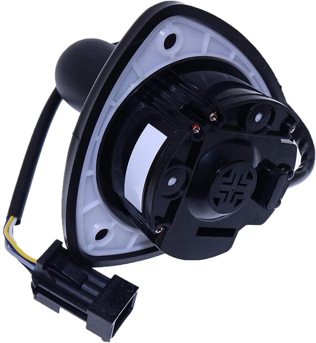 長商デパート チアリーディング キティちゃん CHOSHO パンサーズ