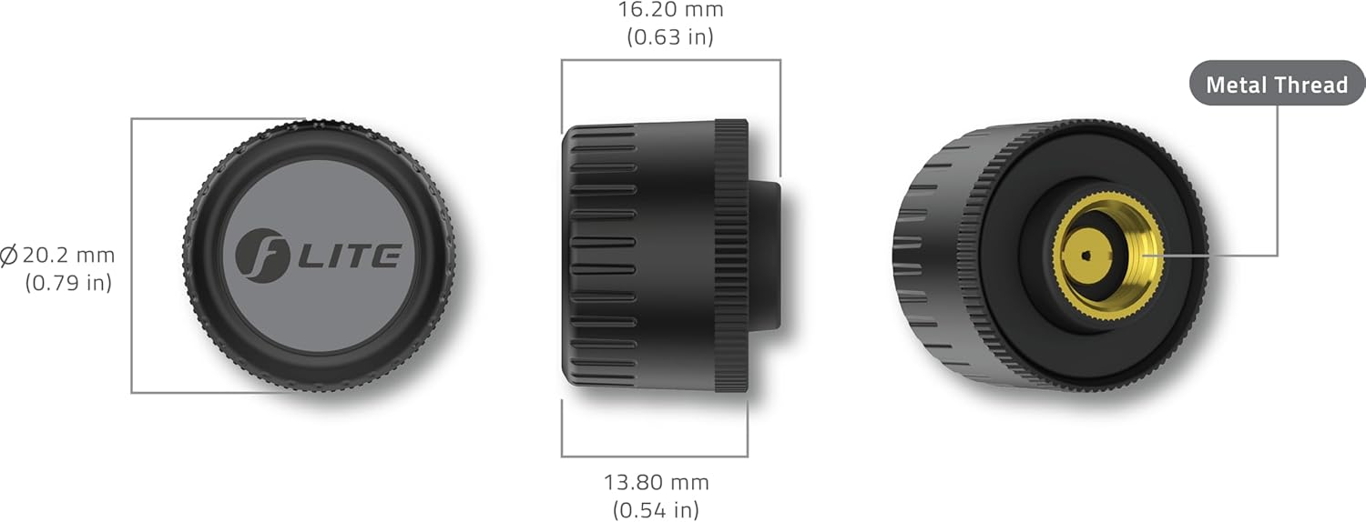 Car interior showing Apple CarPlay screen displaying FOBO TIRE LITE app