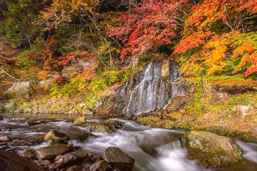 y{i|XgJ[hzX ݂R̐Ƒ tHgJ[hyY photo by daikegoro