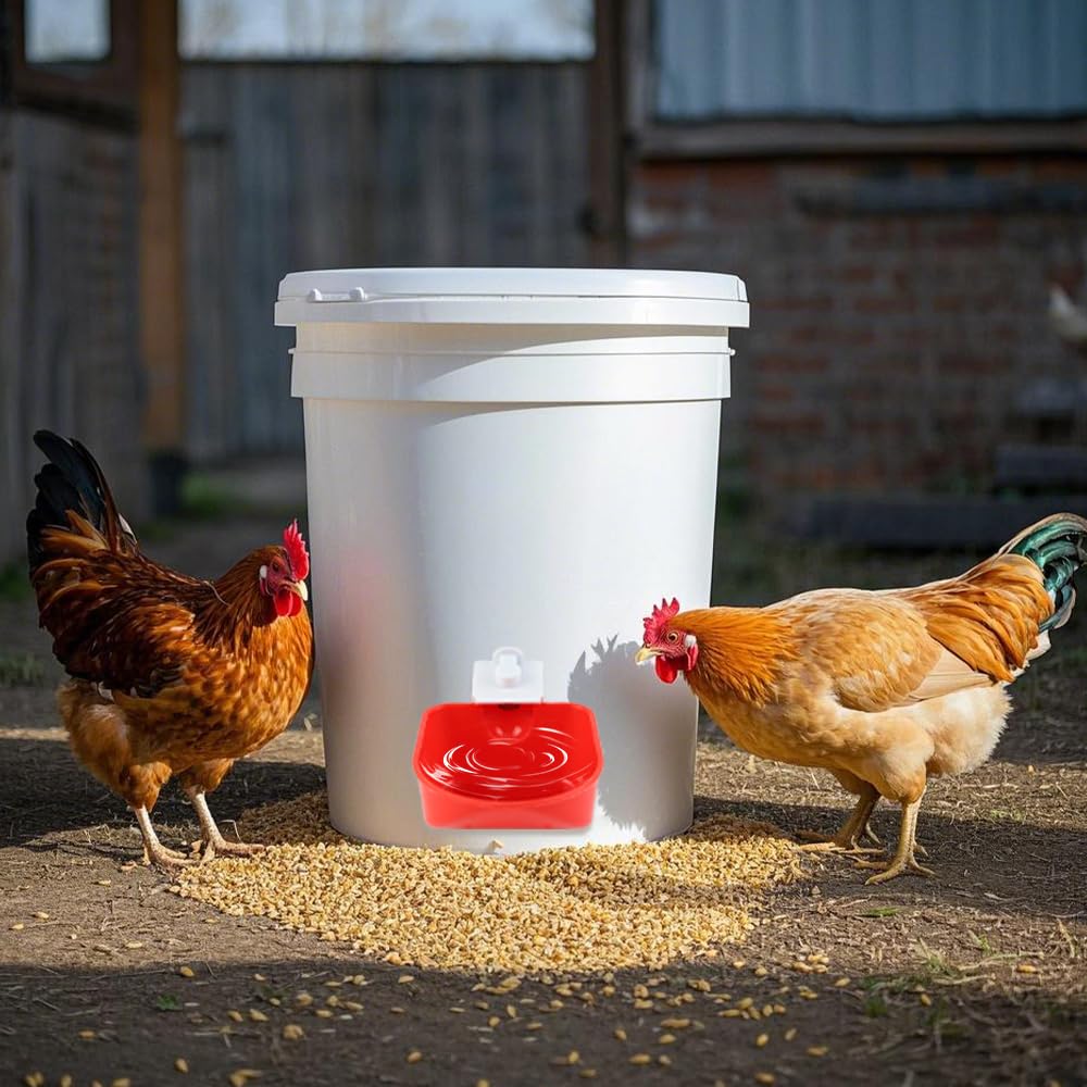 Bebedero Gallinas, 4 Piezas Grandes, Adecuado para Regador para Aves, Palomas, Pollos, Patos(9 x 10,5 cm)
