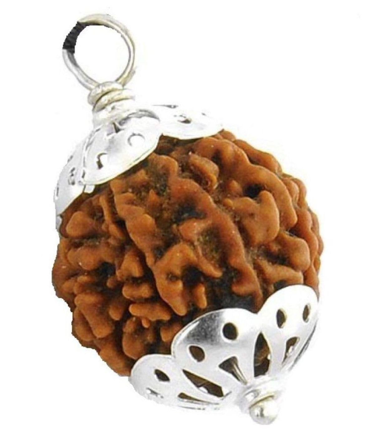See full amazon price history chart for Petrichor Original 5 Mukhi Nepali Rudraksha Bead with Silver Cap Petrichor Original 5 Mukhi Nepali Rudraksha Bead with Silver Cap (B0714MQRFY) Amazon Price History, Amazon Price Tracker